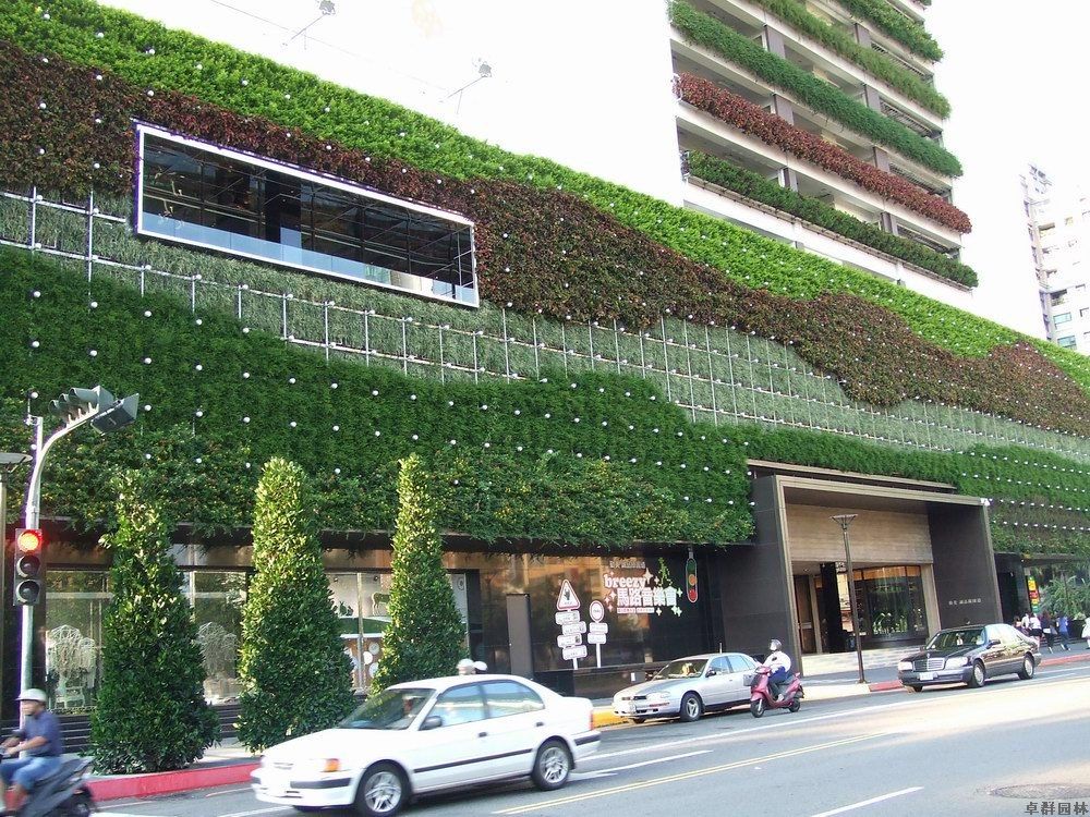 墙体垂直绿化工程